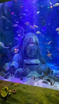 レゴランドⓇ・ジャパン・リゾートに投稿された画像（2024/6/1）