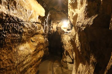 あぶくま洞に投稿された画像（2024/3/25）