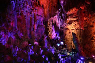 あぶくま洞に投稿された画像（2024/3/25）