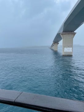 ベイクルーズ・宮古島 モンブランに投稿された画像（2024/6/1）