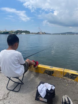 海釣り体験＠レンタル釣竿まるへい遊び隊に投稿された画像（2024/6/1）