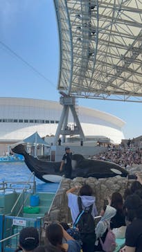 名古屋港水族館に投稿された画像（2024/6/1）