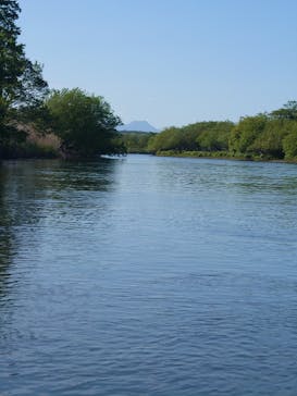 Old Place（オールドプレイス）に投稿された画像（2024/6/1）