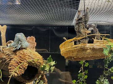 カワスイ 川崎⽔族館に投稿された画像（2024/6/1）