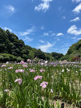 浜名湖花博2024に投稿された画像（2024/6/1）