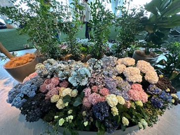 サンシャイン60展望台に投稿された画像（2024/6/1）