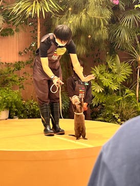 マクセル アクアパーク品川に投稿された画像（2024/6/1）