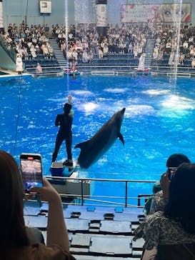 マクセル アクアパーク品川に投稿された画像（2024/6/1）