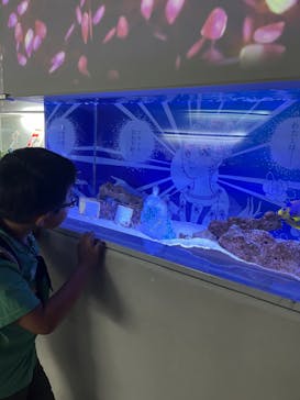 マクセル アクアパーク品川に投稿された画像（2024/6/1）