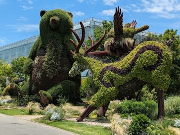 浜名湖花博2024に投稿された画像（2024/6/1）