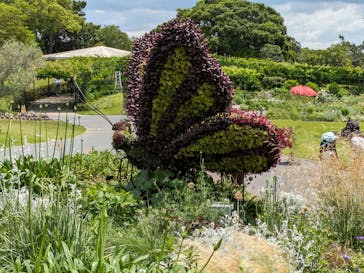 浜名湖花博2024に投稿された画像（2024/6/1）