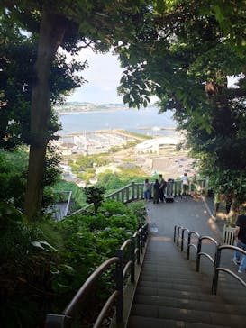 江の島シーキャンドル×新江ノ島水族館に投稿された画像（2024/6/1）