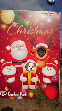 姫路セントラルパークに投稿された画像（2024/6/1）