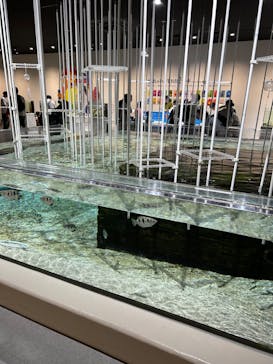 NIFREL（ニフレル）に投稿された画像（2024/6/1）