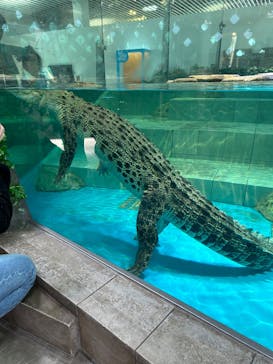 NIFREL（ニフレル）に投稿された画像（2024/6/1）