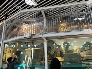 NIFREL（ニフレル）に投稿された画像（2024/6/1）