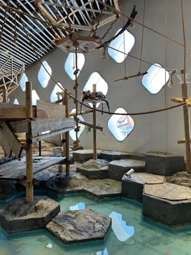 NIFREL（ニフレル）に投稿された画像（2024/6/1）