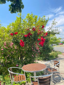 横浜イングリッシュガーデンに投稿された画像（2024/6/1）