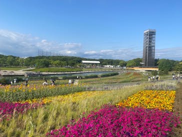 浜名湖花博2024に投稿された画像（2024/6/1）