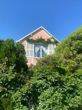 浜名湖花博2024に投稿された画像（2024/6/1）