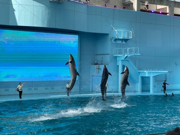 横浜・八景島シーパラダイスに投稿された画像（2024/6/1）