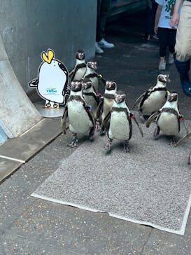 城崎マリンワールドに投稿された画像（2024/6/1）