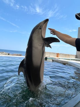 城崎マリンワールドに投稿された画像（2024/6/1）