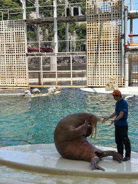 城崎マリンワールドに投稿された画像（2024/6/1）