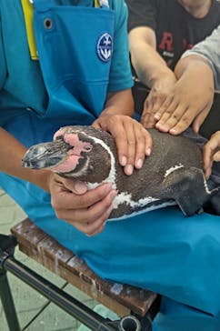 南知多ビーチランド＆南知多おもちゃ王国に投稿された画像（2024/6/1）