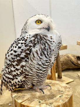 アニタッチみなとみらいに投稿された画像（2024/6/1）