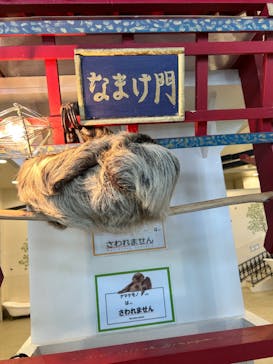 アニタッチみなとみらいに投稿された画像（2024/6/1）