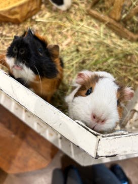 アニタッチみなとみらいに投稿された画像（2024/6/1）