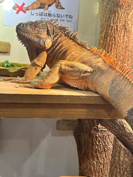 アニタッチみなとみらいに投稿された画像（2024/6/1）