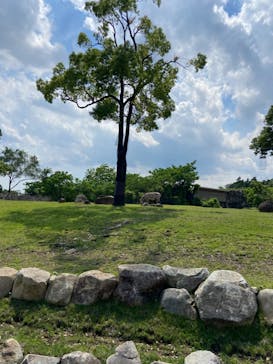 よこはま動物園ズーラシアに投稿された画像（2024/6/1）