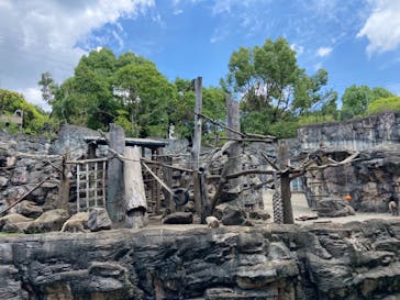 よこはま動物園ズーラシアに投稿された画像（2024/6/1）