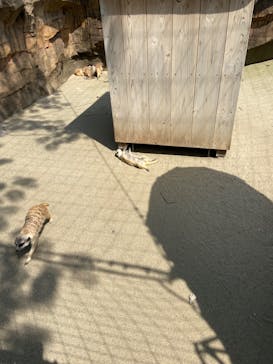 よこはま動物園ズーラシアに投稿された画像（2024/6/1）
