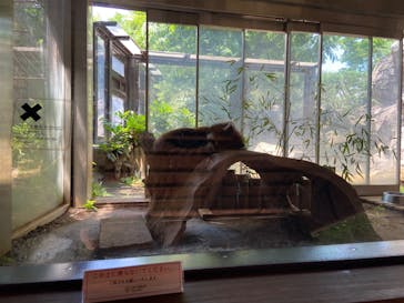 よこはま動物園ズーラシアに投稿された画像（2024/6/1）