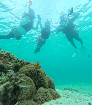 宮古島 ADVENTURE PiPi（ミヤコジマ アドベンチャー ピピ）に投稿された画像（2024/6/1）