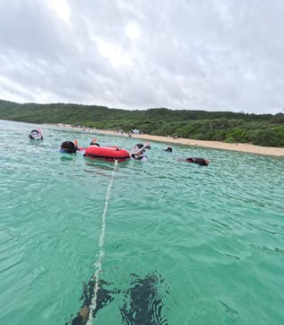 宮古島 ADVENTURE PiPi（ミヤコジマ アドベンチャー ピピ）に投稿された画像（2024/6/1）