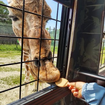 那須サファリパークに投稿された画像（2024/6/2）