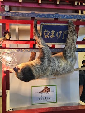 アニタッチみなとみらいに投稿された画像（2024/6/2）