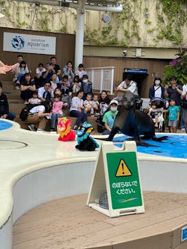 サンシャイン水族館に投稿された画像（2024/6/2）