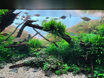 AOAO SAPPOROに投稿された画像（2024/6/2）