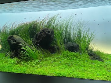 AOAO SAPPOROに投稿された画像（2024/6/2）