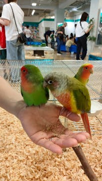 いきもの探検隊湘南に投稿された画像（2024/6/2）