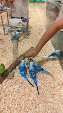 いきもの探検隊湘南に投稿された画像（2024/6/2）