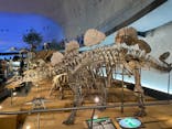 福井県立恐竜博物館に投稿された画像（2024/6/2）
