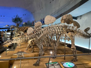 福井県立恐竜博物館に投稿された画像（2024/6/2）