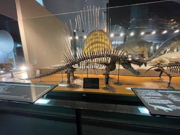 福井県立恐竜博物館に投稿された画像（2024/6/2）