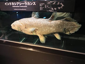 環境水族館アクアマリンふくしまに投稿された画像（2024/6/2）